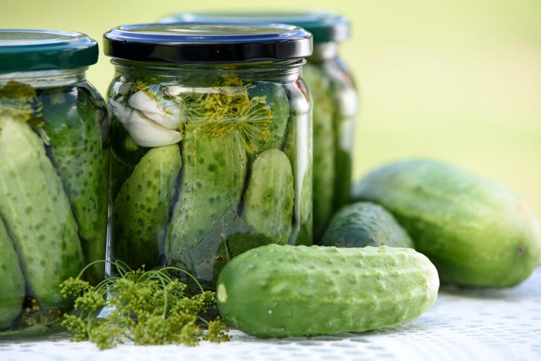 Jars of cucumbers fermenting with dill and garlic